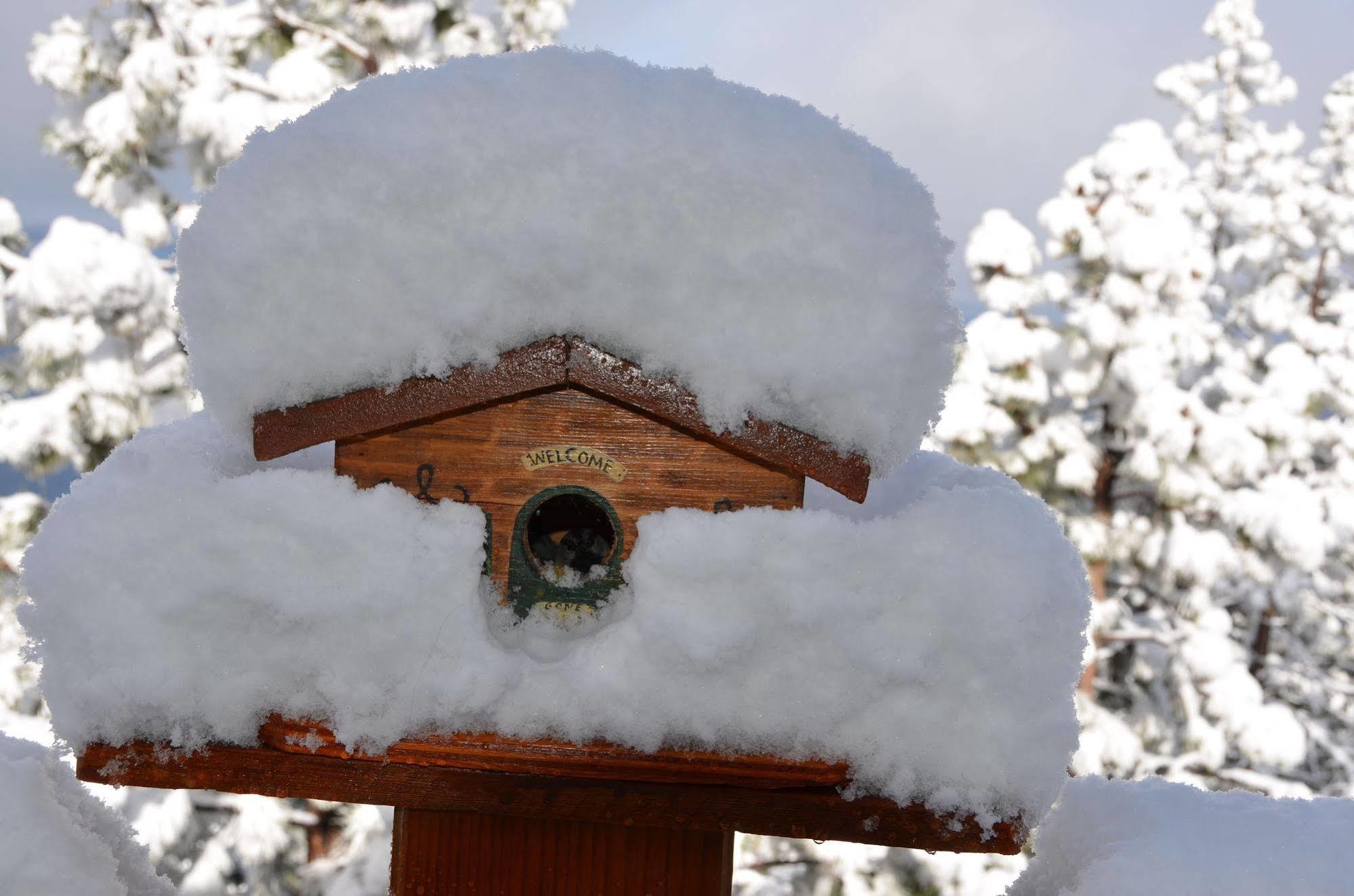 Where Eagles Fly Bed & Breakfast Elk Point المظهر الخارجي الصورة